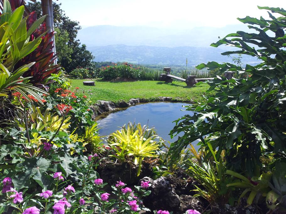 Jardín el Mangostino