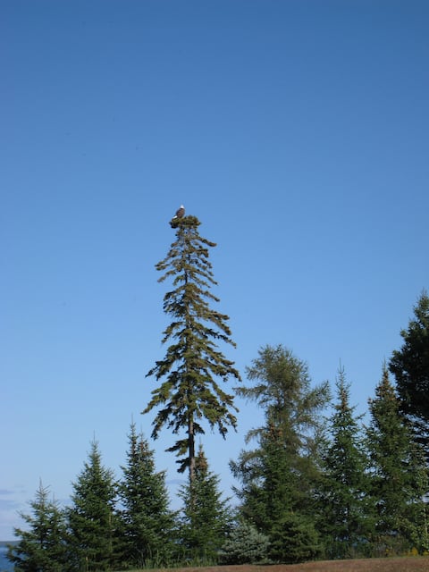 (5) 24 Beach & Pool Condo