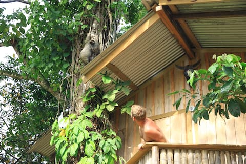 Whimsical Treehouse in Dolphin Bay on Cacao Farm
