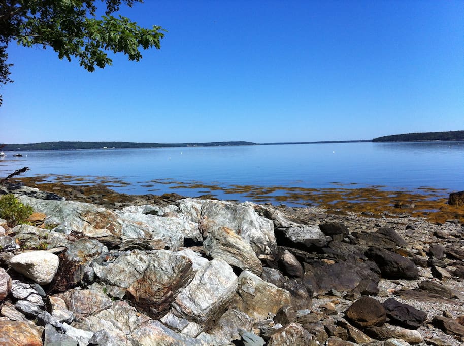 view north, low tide
