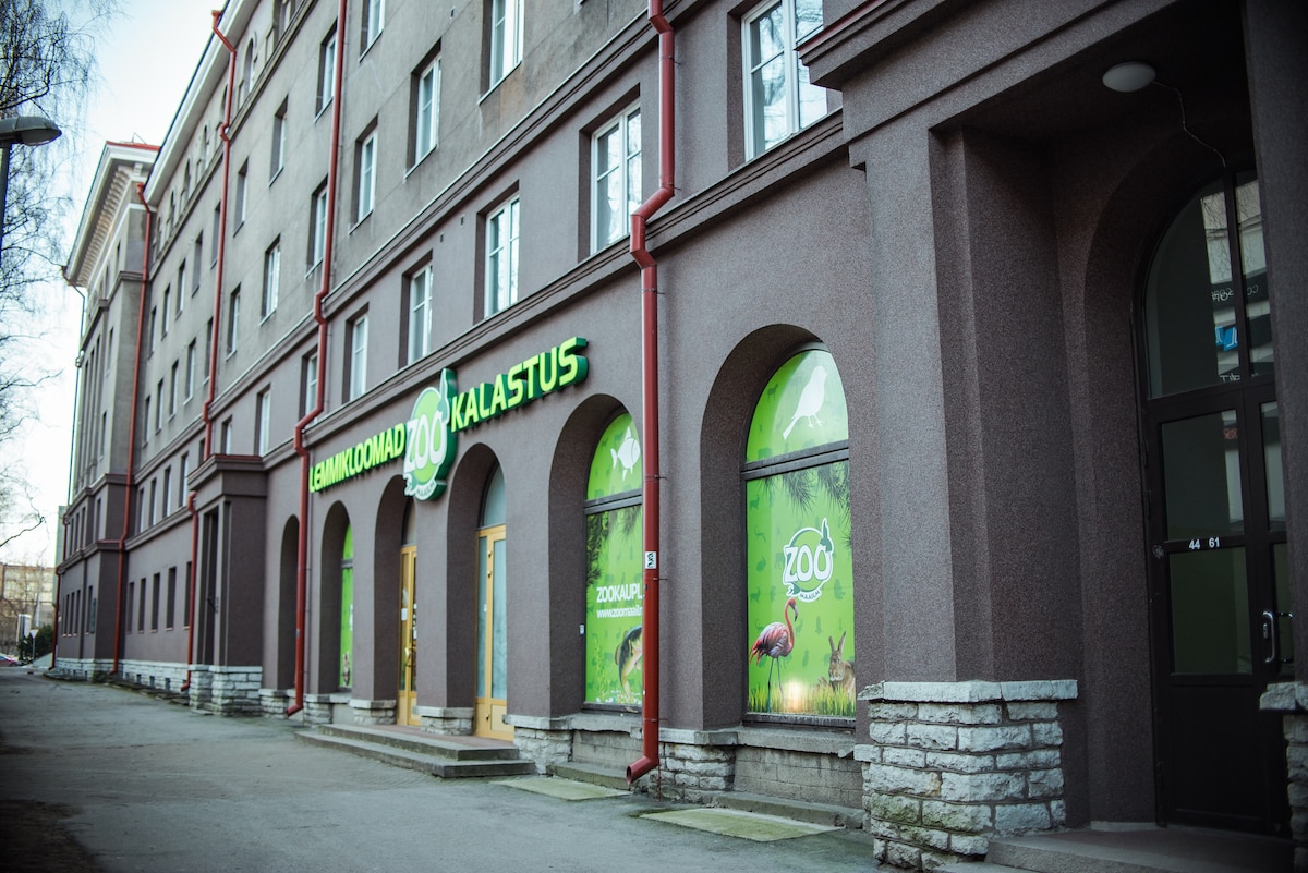 A building facade reveals a stone and grey exterior with arched entryways. Green signage with animal motifs indicates a zoo-related establishment. The entrance is framed by large windows featuring vibrant graphics, while the surrounding area is paved and lined with trees.