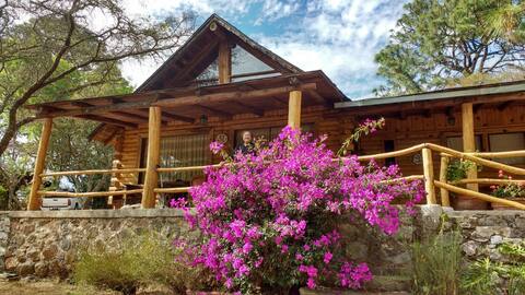 Cozy Hut in the Forest of Tapalpa