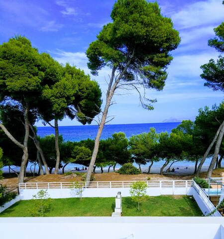 Villa en Primera línea de playa con piscina-12 Pax gallery image 4