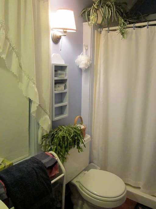 We converted an old closet into this nice periwinkle blue bath room with a shower.