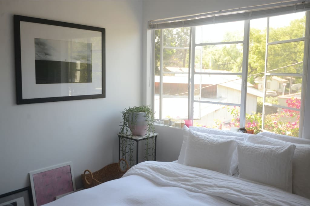 huge window over the bed that opens to a beautiful bougainvillea bush