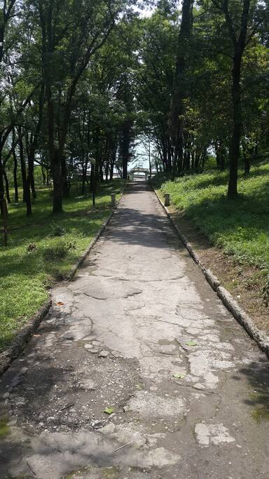 Дорога к морю