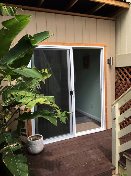 Banana Trees outside the entrance to the room.