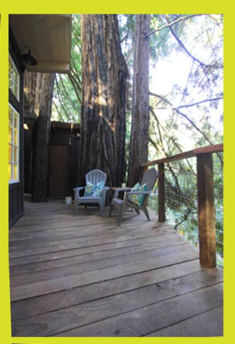 Large wrap deck in the giant trees