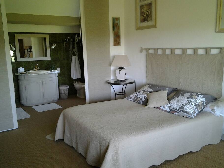 salle bains/douche "chambre aux oiseaux"