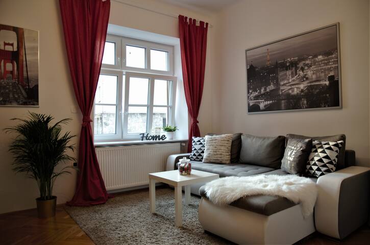 Lovely apt. in the strict center, FREE parking