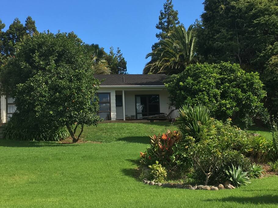 View from garden