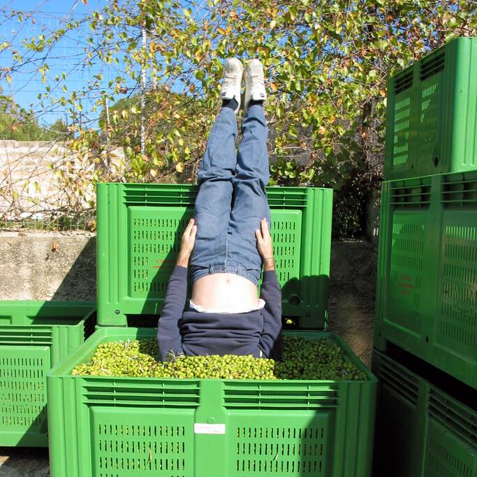 Photo of La Tête Dans les Olives - Sainte Marthe