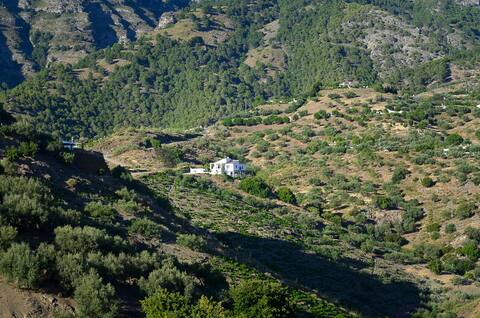 Mountain retreat Casa Alzaytun.