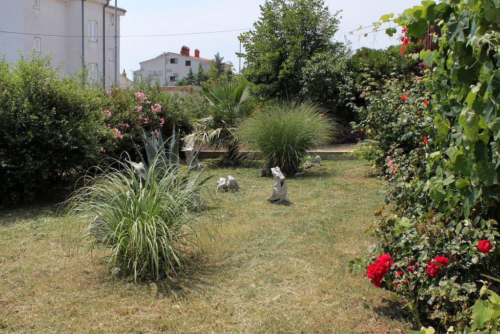 courtyard