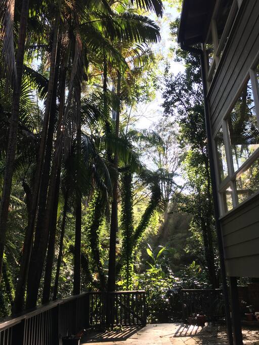 Close to nature.