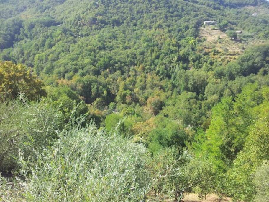 Whatever you do, this landscape will accompany you throughout the day