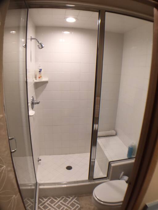 Steam shower