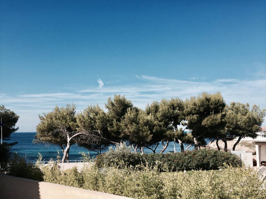 Vue de la terrasse