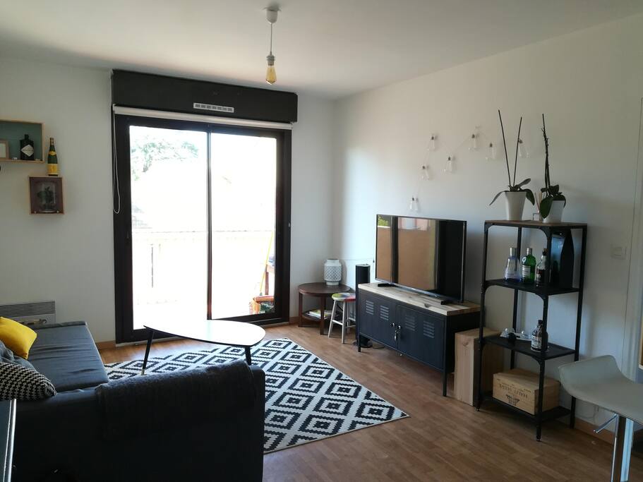 Salon - Living Room