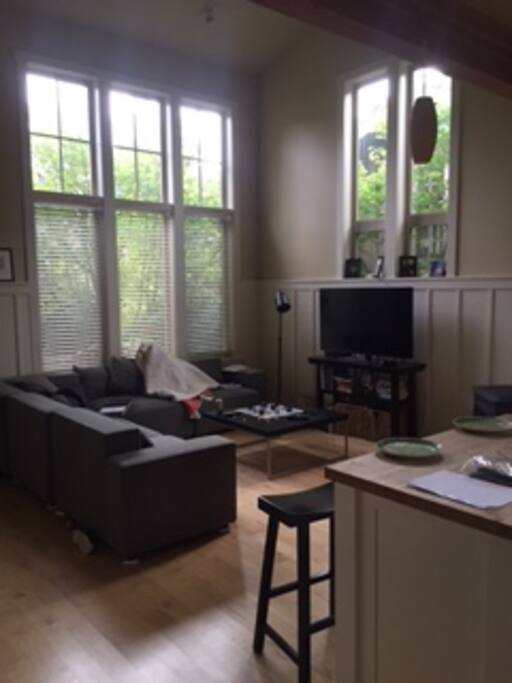 Main room off of kitchen. Not a sunny day and messy (sorry)
