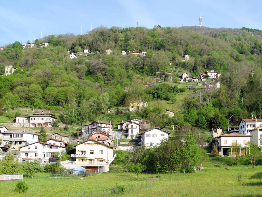 Bildmitte