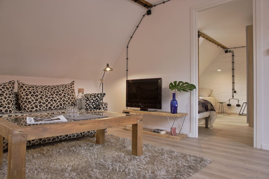Salon, widok na sypialnię