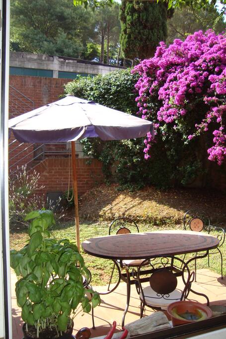 giardino