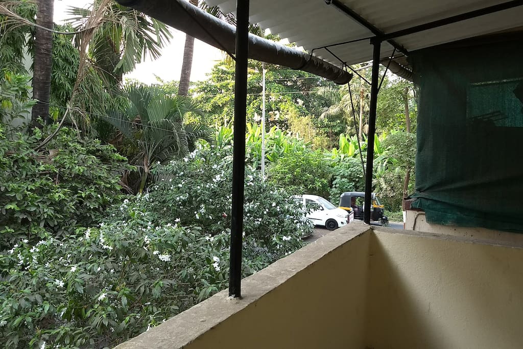 The greenery outside