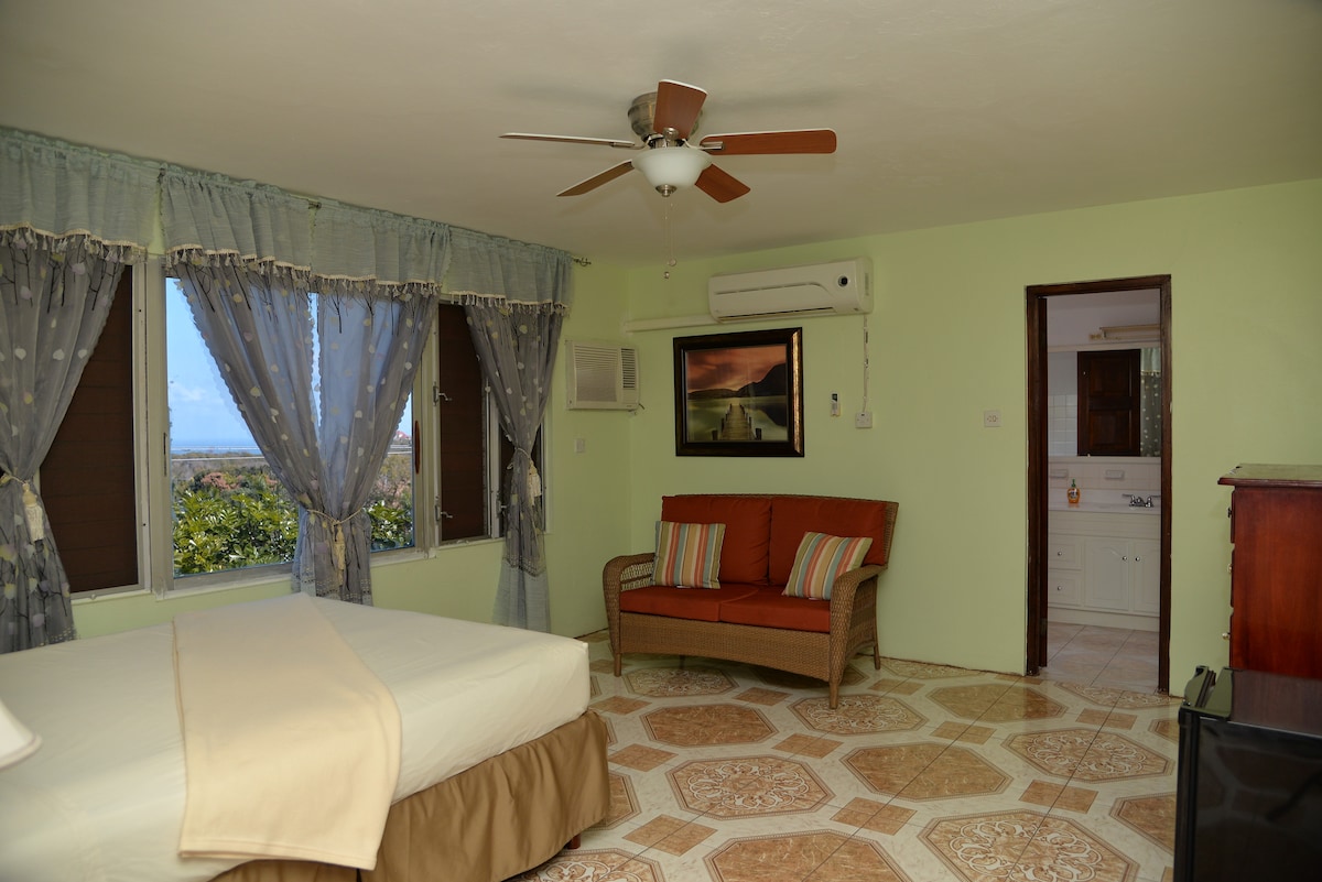 A spacious bedroom features a queen bed, a love seat, and an air conditioning unit. Natural light enters through large windows dressed in sheer curtains. The room is adorned with a fan and includes a mini-fridge, with a door leading to an ensuite bathroom.