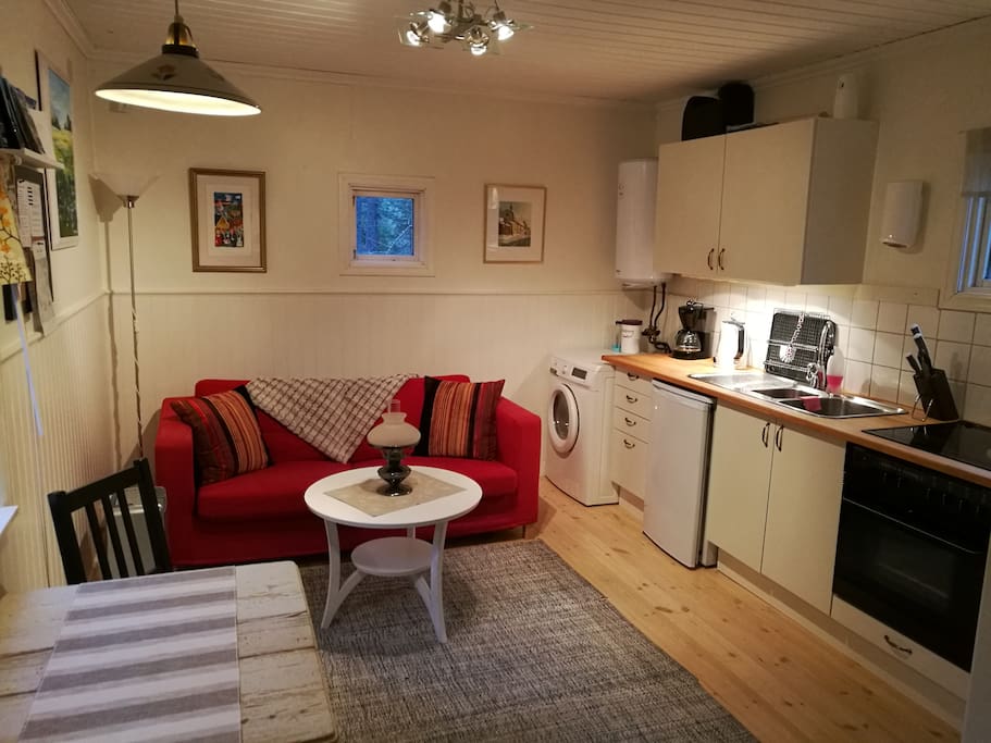 Socializing area sofa bed and kitchen