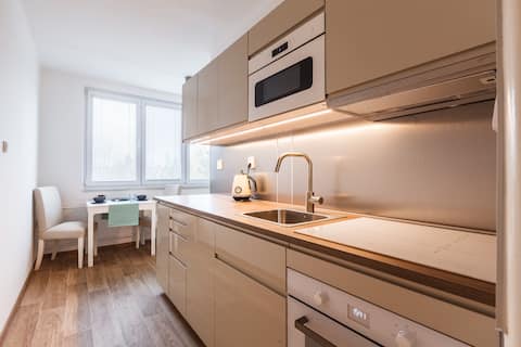 Spacious and sunny apartment for the whole family in Tábor