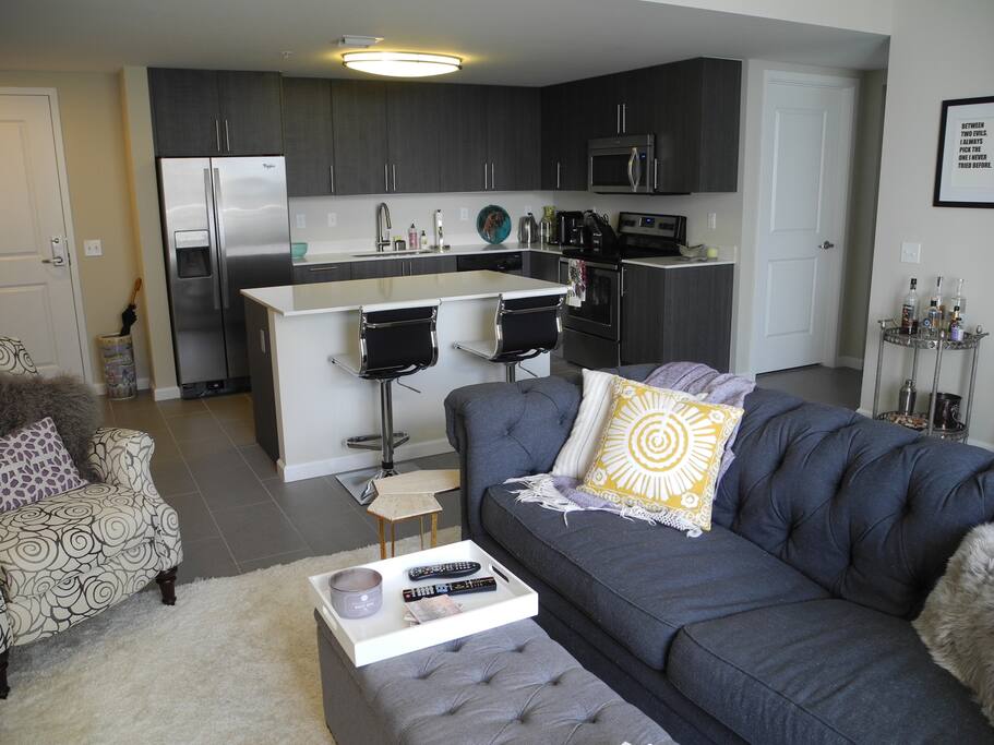 Living Room/Kitchen