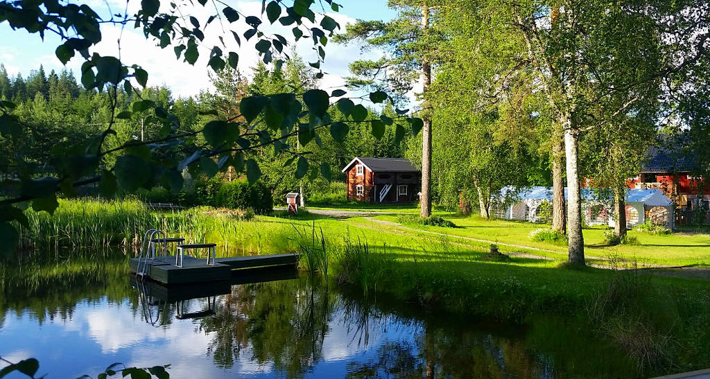 A peaceful countryside scene captures a small cabin surrounded by lush greenery. A calm pond reflects the trees and sky. A wooden platform extends over the water, providing access for relaxation. Various trees and plants frame the area, enhancing the natural setting.