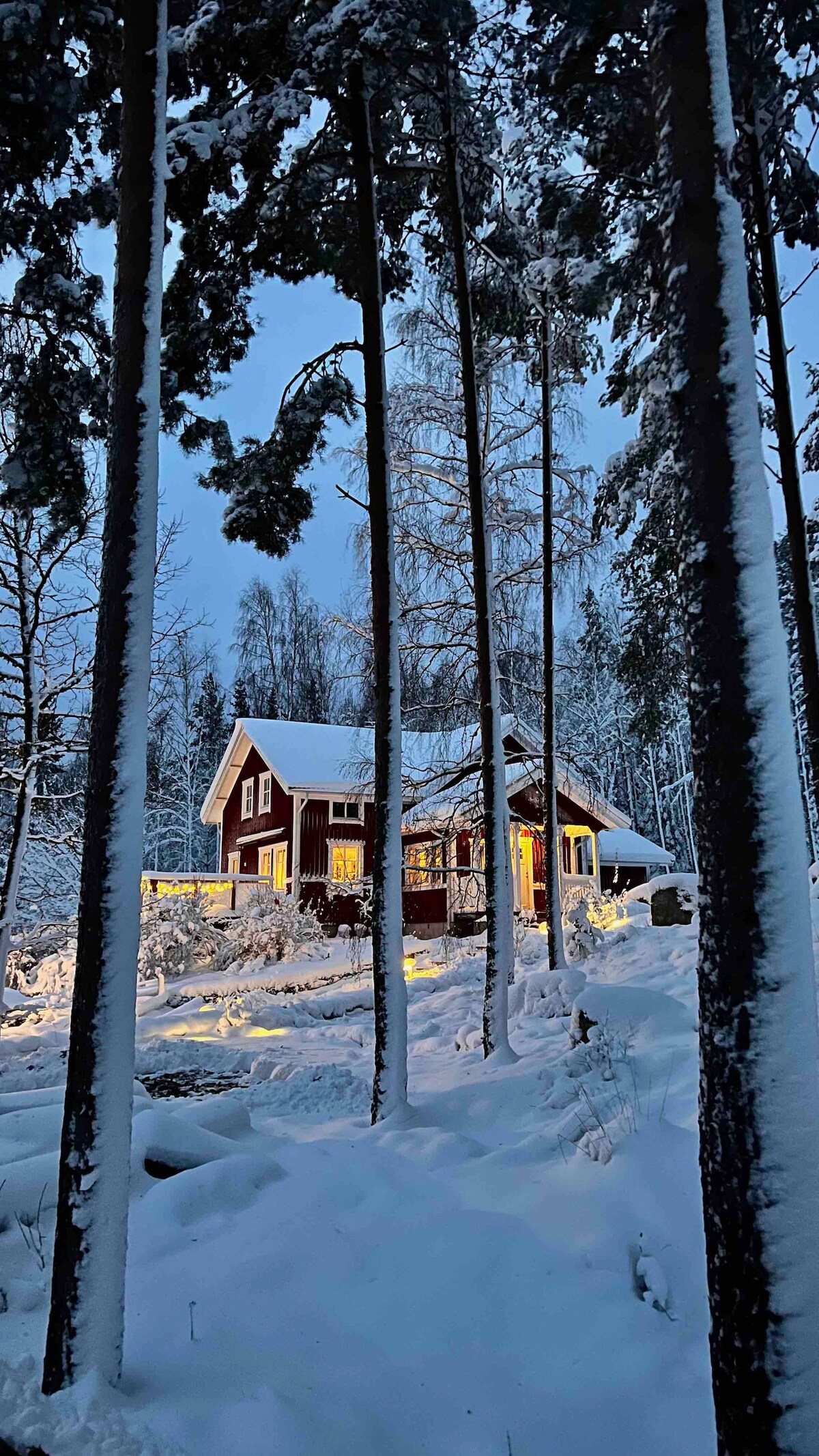 A red cottage is surrounded by tall trees blanketed in snow. Soft golden light spills from the windows, creating a warm glow against the wintry backdrop. The area is covered in a thick layer of snow, enhancing the serene and isolated atmosphere.