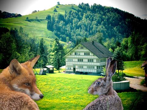 Sleeping... bedded in gentle hills.