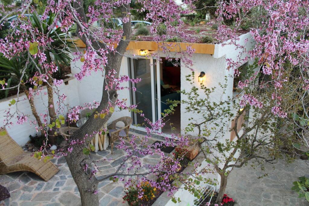 the bungalow is surrounded with trees & flowers