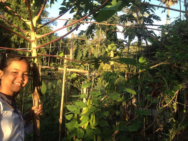 Papaya homestay