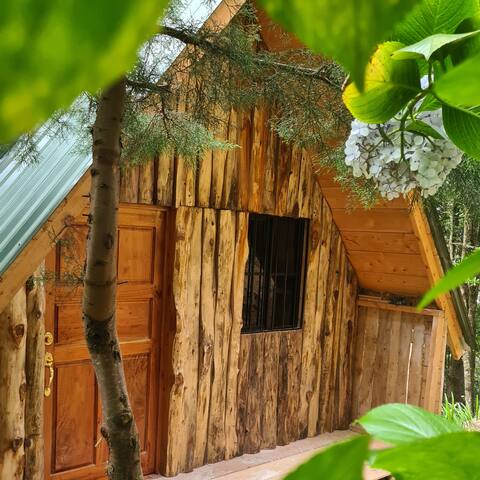 Family cabana in the mountains