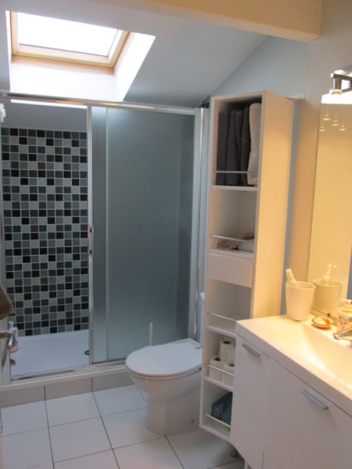 La salle de douche privée