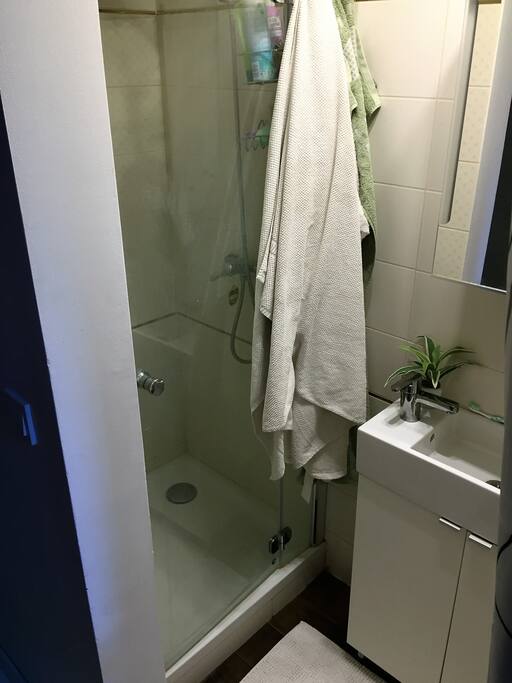 Bathroom with Shower and Toilet