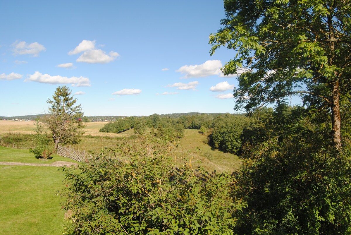 A serene landscape is visible, featuring open fields and rolling hills under a clear blue sky with scattered clouds. Lush greenery surrounds the area, providing a tranquil backdrop to the natural scenery.