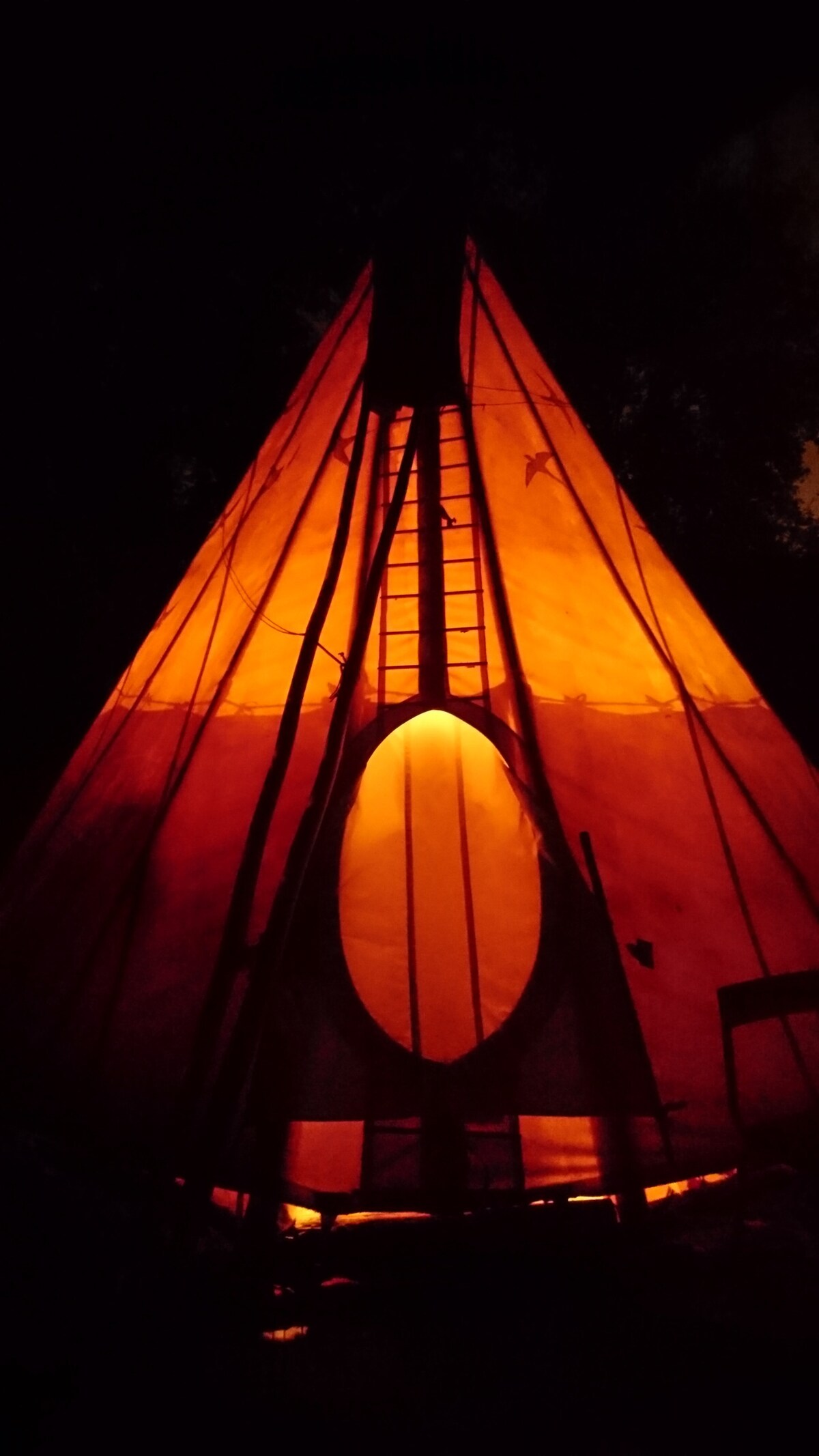 The illuminated tipi glows warmly in the night, casting a soft orange light through its fabric. The structure's tall, pointed silhouette is visible against the dark sky, with a ladder leading to the top. Surrounding trees create a natural enclosure.