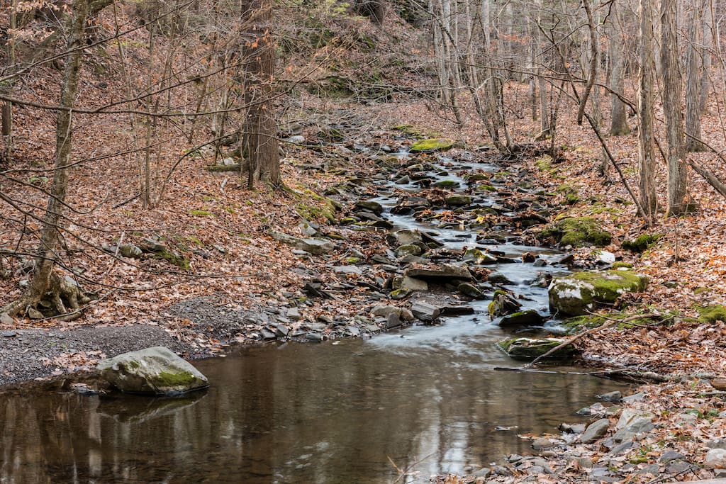 Meandering stream throughout the property and trails