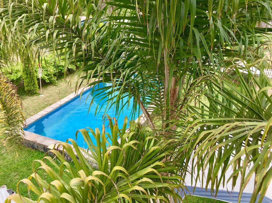 Piscina desde el mirador