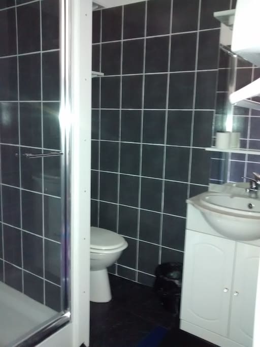 Salle d'eau avec toilette.