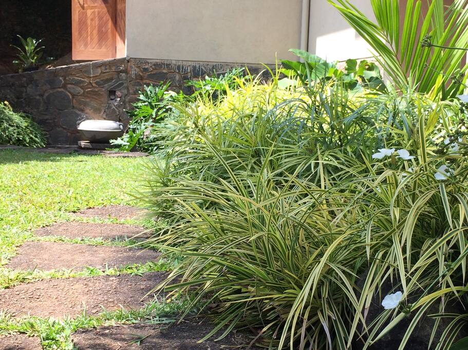Garden Path