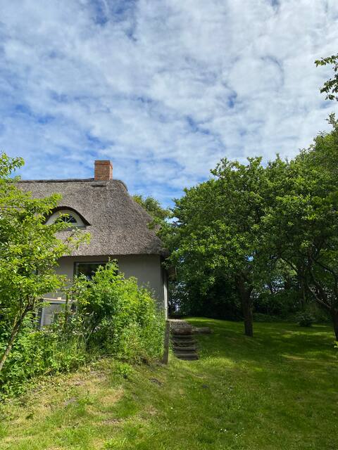 Great happiness - thatched roof, sauna