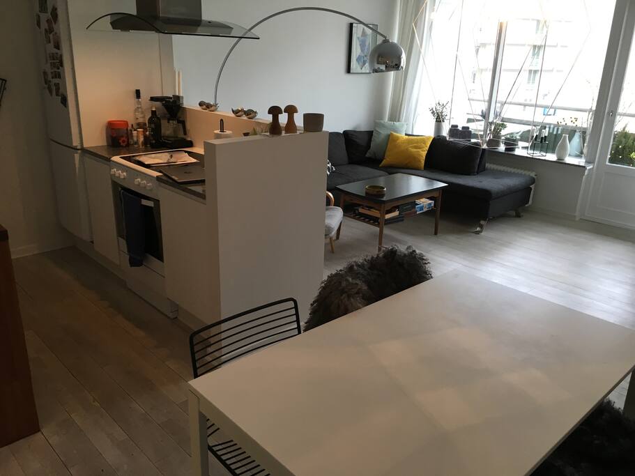 Open living room/kitchen