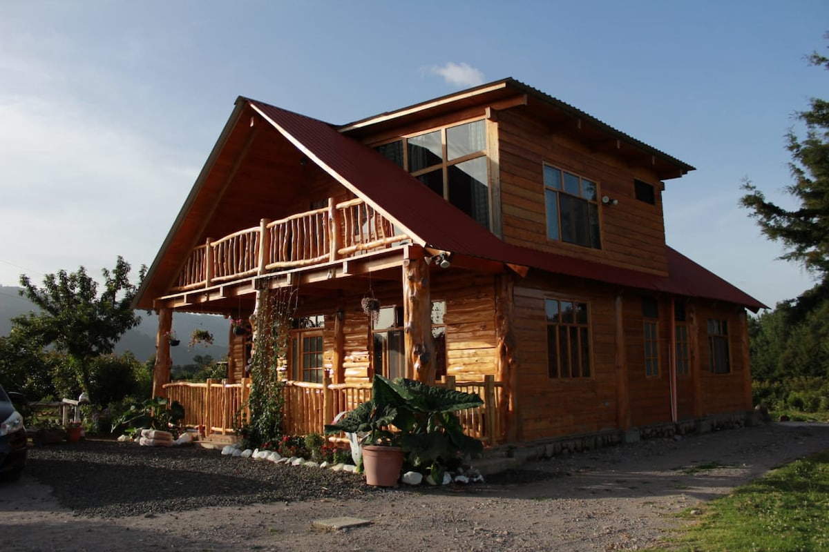 A two-story wooden cabin features a sloped red roof and a wide front porch adorned with wooden railings. Large windows invite natural light, while nearby plants and gravel pathways frame the exterior. The cabin is surrounded by greenery, enhancing its rustic charm.