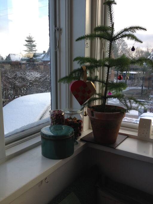 Our home during christmas/winter